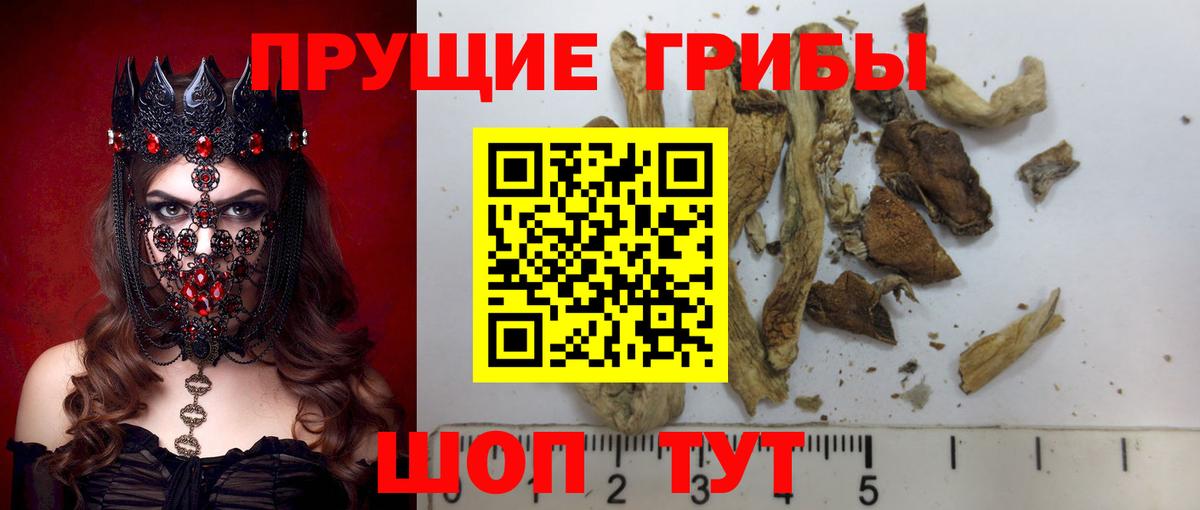 Псилоцибиновые грибы мухоморы Бузулук